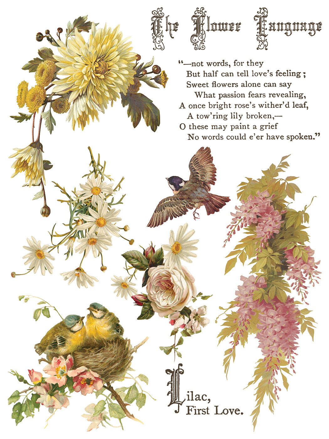 Flowers by the Poets IOD Transfer Pad with (8) 12 X 16 Sheets by Iron Orchid Designs Rub-On Furniture Transfer Decal