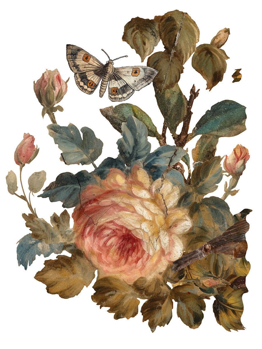 dup remove Joie Des Roses IOD Transfer Pad (8) 12 X 16 Sheets by Iron Orchid Designs Rub-On Furniture Transfer Decal