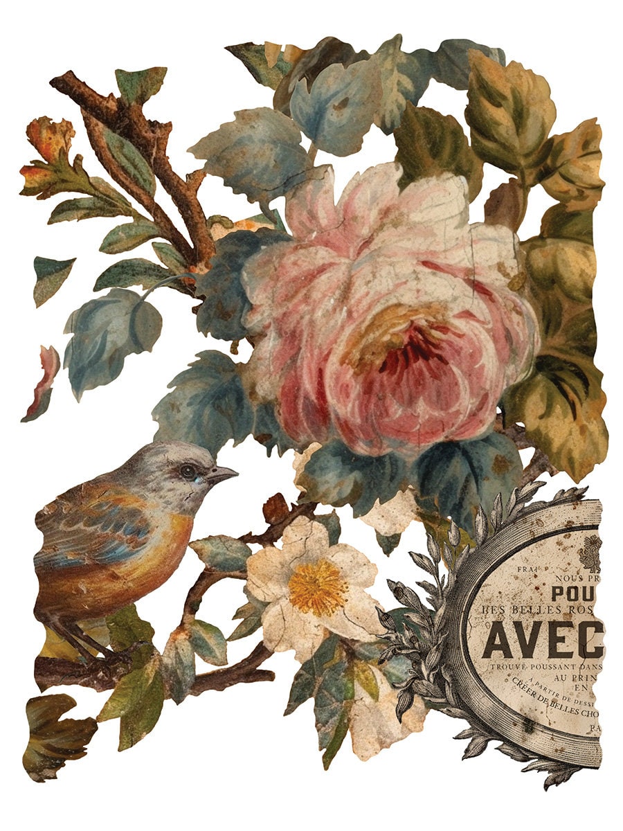 dup remove Joie Des Roses IOD Transfer Pad (8) 12 X 16 Sheets by Iron Orchid Designs Rub-On Furniture Transfer Decal