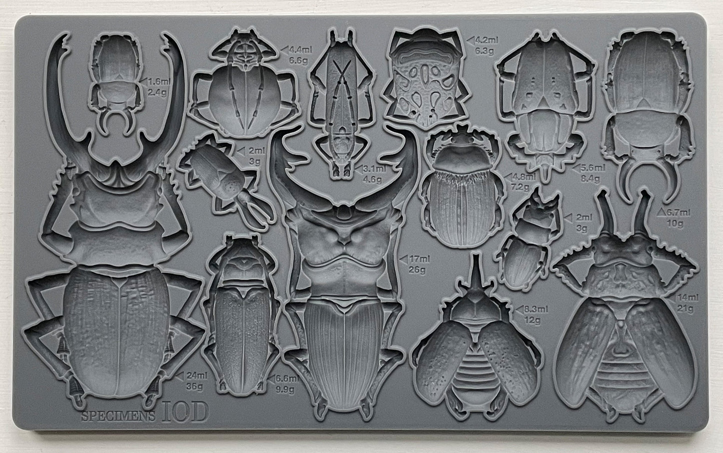 Specimens IOD décor mould 6 x 10 - by Iron Orchid Designs