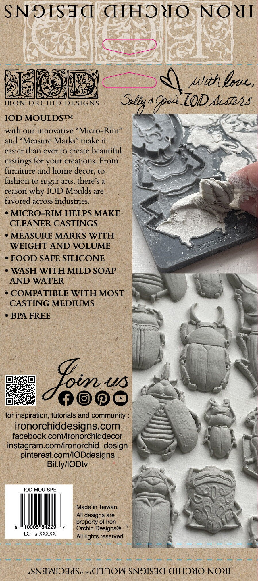 Specimens IOD décor mould 6 x 10 - by Iron Orchid Designs