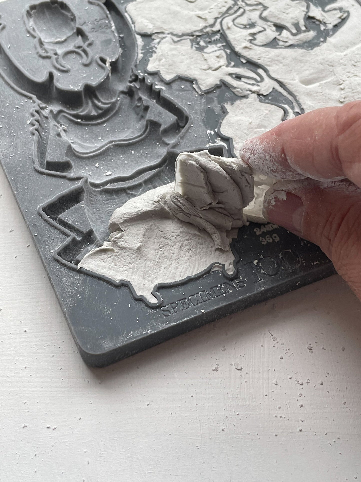 Specimens IOD décor mould 6 x 10 - by Iron Orchid Designs