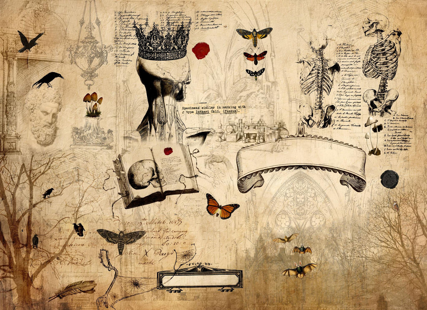 Roycycled Decoupage Paper | Dark Academia 20" x 30" Sheet