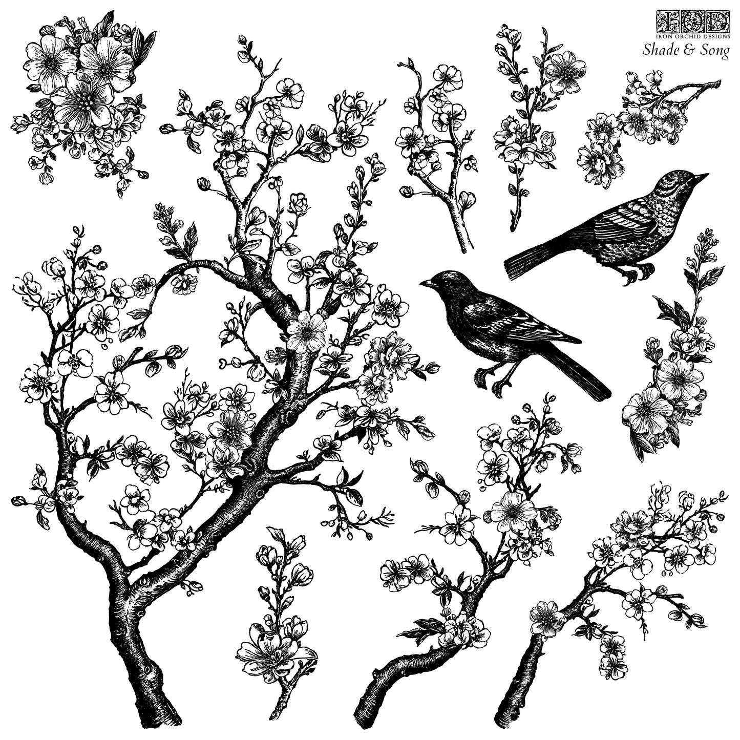 Shade & Song 12 X 12 IOD stamp - by Iron Orchid Designs - New Release