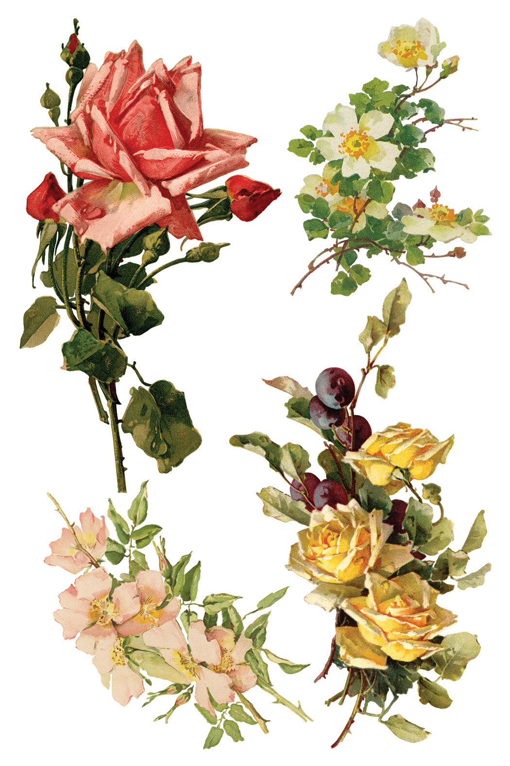 Catharina IOD Transfer Pad with (8) 8 x 12 Sheets by Iron Orchid Designs Rub-On Furniture Transfer Decal - New Release
