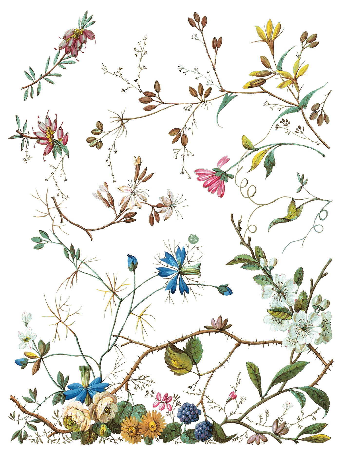 Lost Garden IOD Transfer Pad with (8) 12 X 16 Sheets by Iron Orchid Designs Rub-On Furniture Transfer Decal - new Release