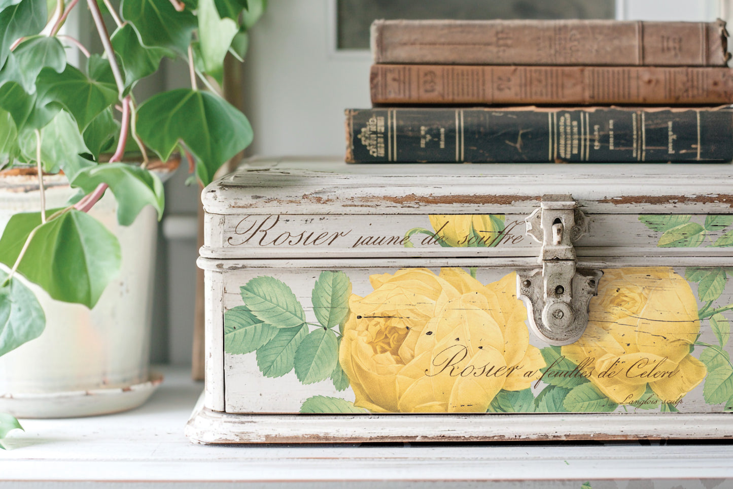 Rose Botanicals IOD Transfer Pad with (8) 12 X 16 Sheets by Iron Orchid Designs Rub-On Furniture Transfer Decal