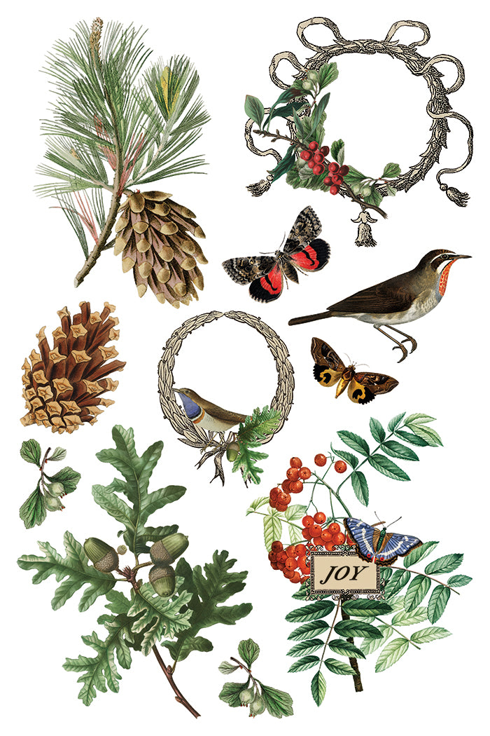 Winter Botanist IOD Transfer Pad with (8) 8 x 12 Sheets by Iron Orchid Designs Rub-On Furniture Transfer Decal 2025 Limited Holiday Release
