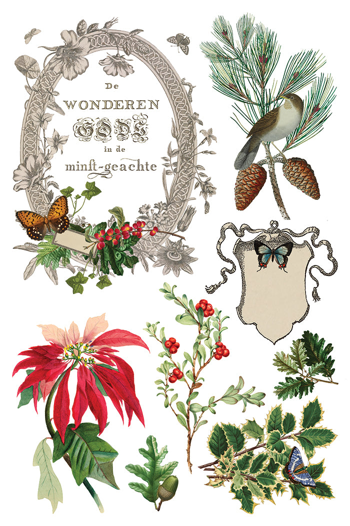 Winter Botanist IOD Transfer Pad with (8) 8 x 12 Sheets by Iron Orchid Designs Rub-On Furniture Transfer Decal 2025 Limited Holiday Release