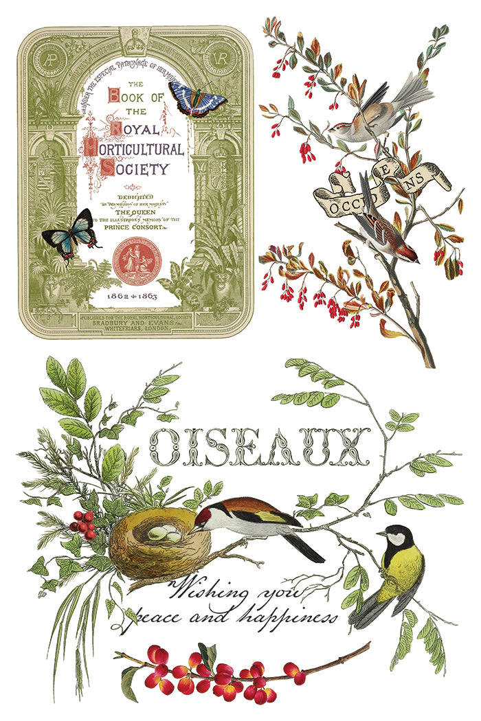 Winter Botanist IOD Transfer Pad with (8) 8 x 12 Sheets by Iron Orchid Designs Rub-On Furniture Transfer Decal 2025 Limited Holiday Release