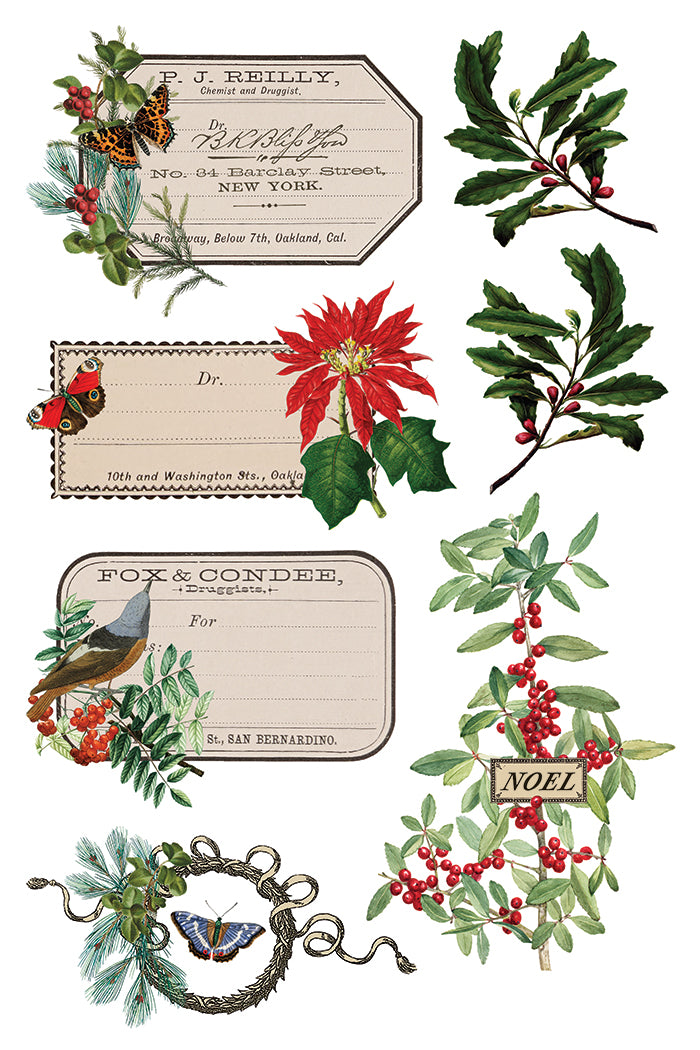 Winter Botanist IOD Transfer Pad with (8) 8 x 12 Sheets by Iron Orchid Designs Rub-On Furniture Transfer Decal 2025 Limited Holiday Release