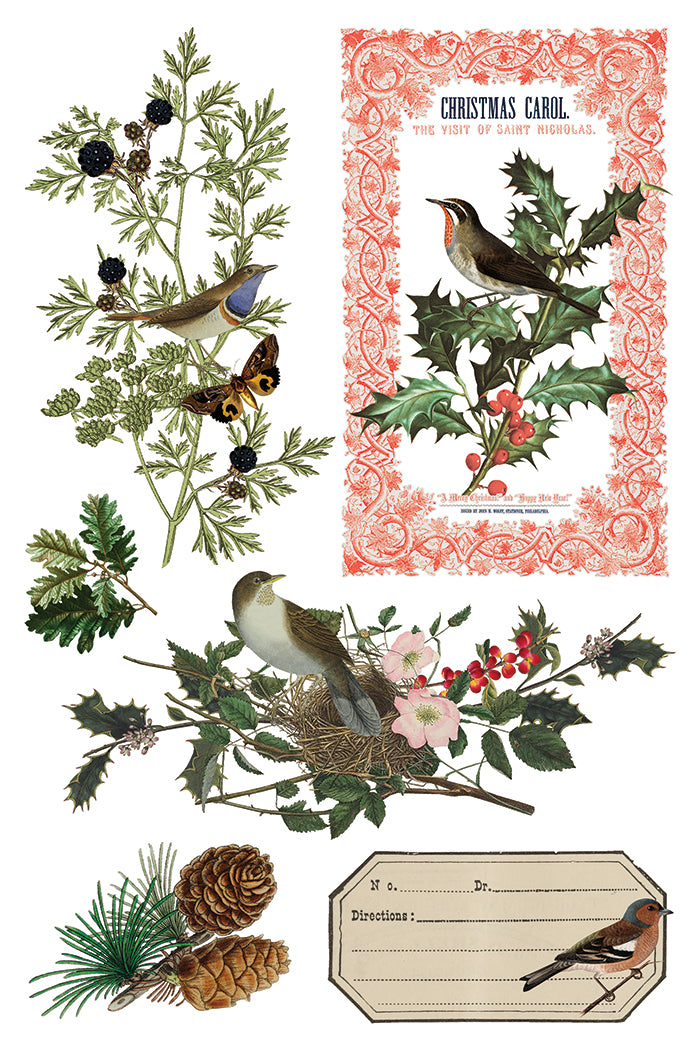 Winter Botanist IOD Transfer Pad with (8) 8 x 12 Sheets by Iron Orchid Designs Rub-On Furniture Transfer Decal 2025 Limited Holiday Release