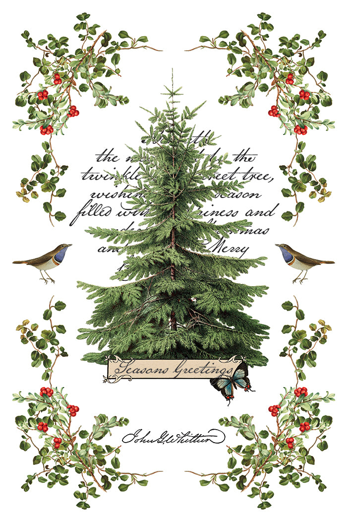 Winter Botanist IOD Transfer Pad with (8) 8 x 12 Sheets by Iron Orchid Designs Rub-On Furniture Transfer Decal 2025 Limited Holiday Release