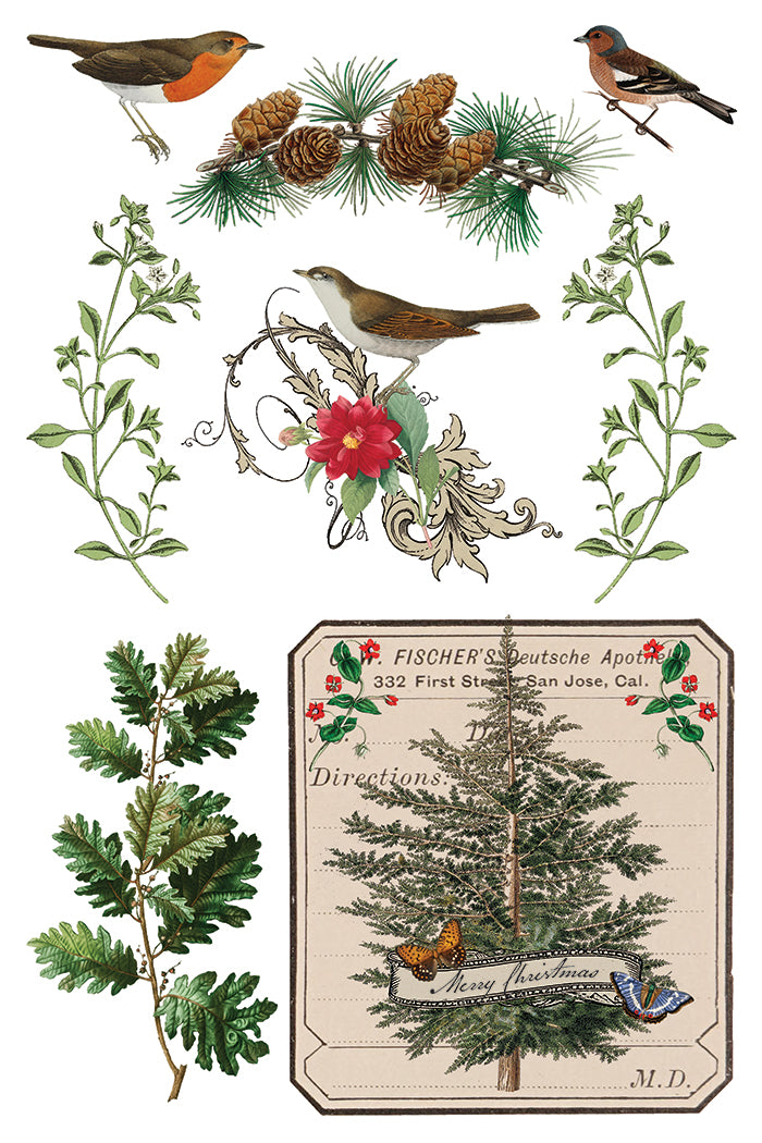 Winter Botanist IOD Transfer Pad with (8) 8 x 12 Sheets by Iron Orchid Designs Rub-On Furniture Transfer Decal 2025 Limited Holiday Release