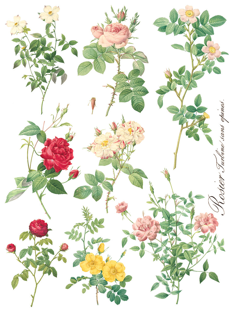 Rose Botanicals IOD Transfer Pad with (8) 12 X 16 Sheets by Iron Orchid Designs Rub-On Furniture Transfer Decal