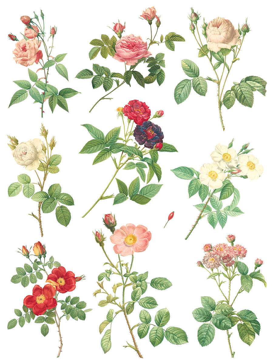 Rose Botanicals IOD Transfer Pad with (8) 12 X 16 Sheets by Iron Orchid Designs Rub-On Furniture Transfer Decal