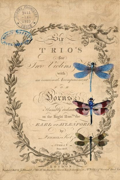 Roycycled Decoupage Paper | Dragonflies 20" x 29" Sheet