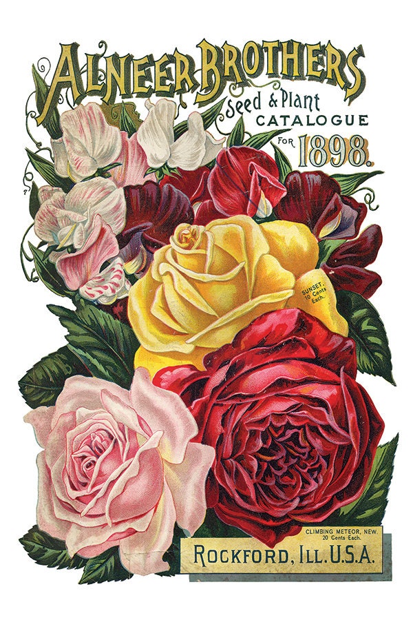 Seed Catalogue IOD Transfer Pad with (8) 8 x 12 Sheets by Iron Orchid Designs Rub-On Furniture Transfer Decal