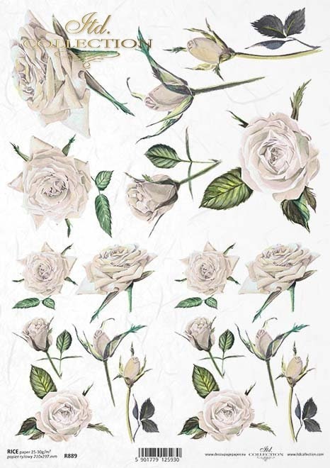 Roses White ITD Decoupage Rice Paper | Size A4 | 8.27x11.7 in | R0889