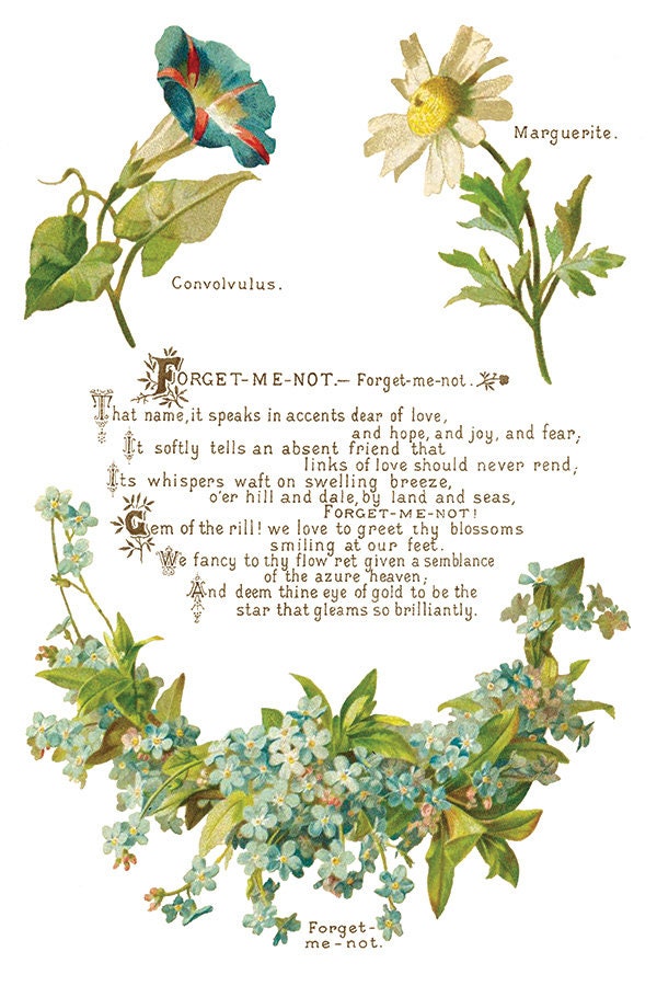 Lover of Flowers IOD Transfer Pad with (8) 8 x 12 Sheets by Iron Orchid Designs Rub-On Furniture Transfer Decal