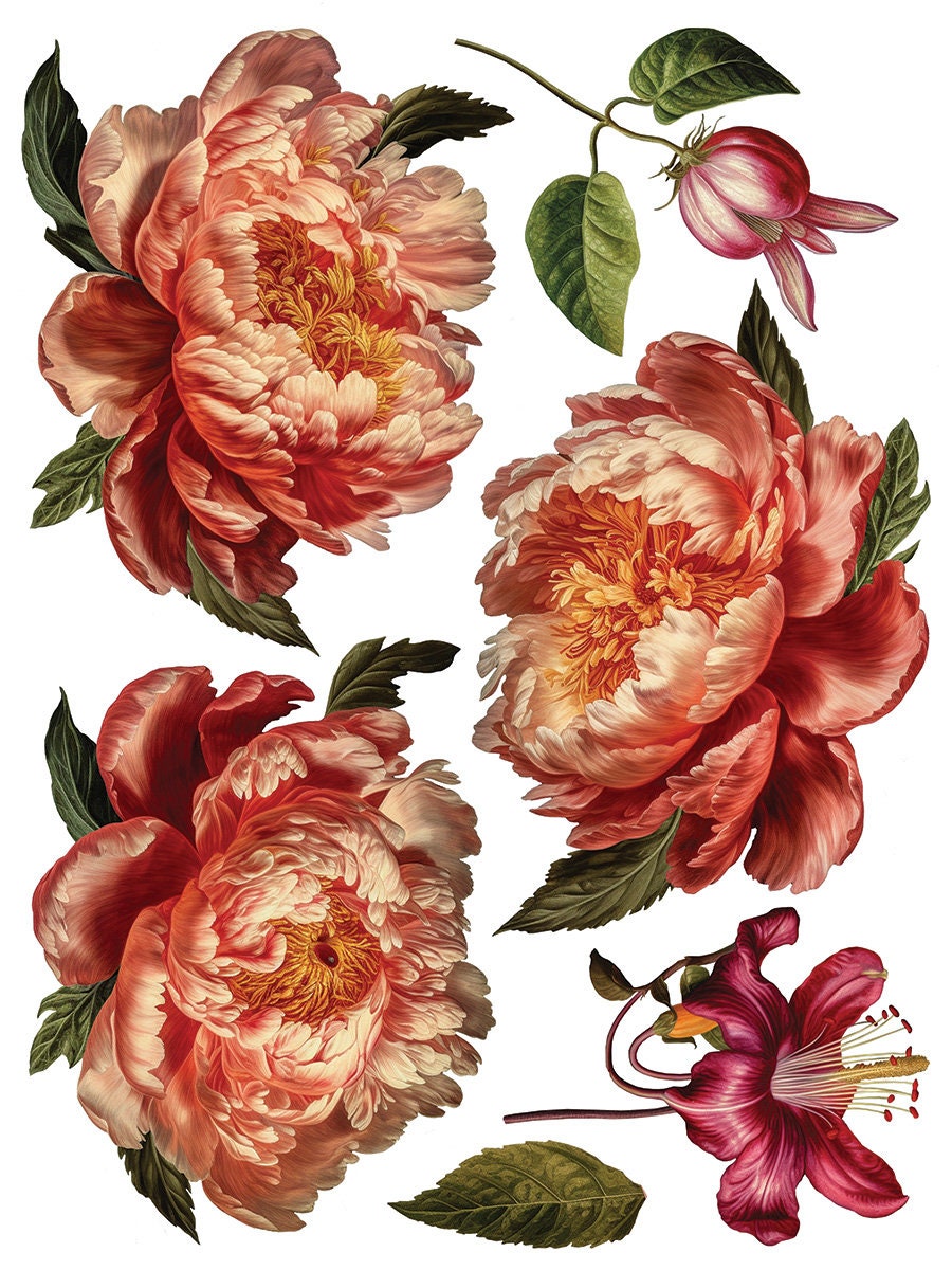 Collage De Fleurs IOD Transfer Pad with (8) 12 X 16 Sheets by Iron Orchid Designs Rub-On Furniture Transfer Decal