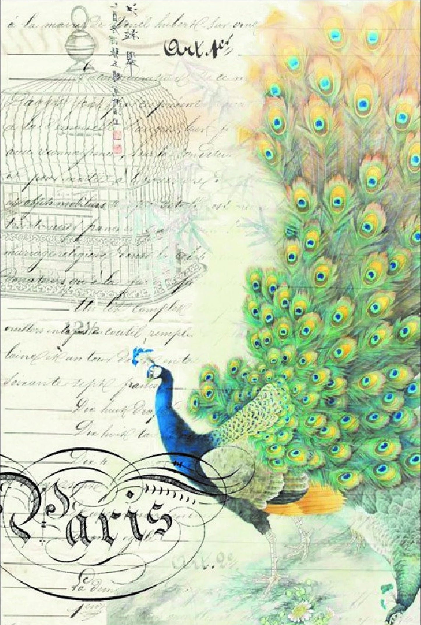 Roycycled Decoupage Paper | Peacock Ephemera Right 20" x 30"