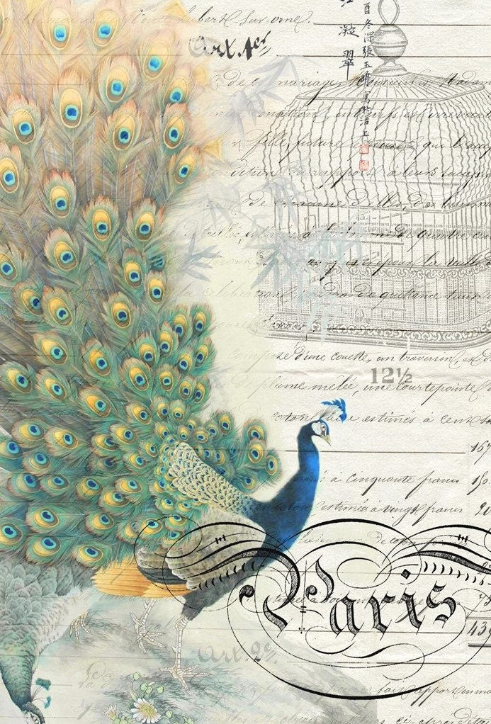 Roycycled Decoupage Paper | Peacock Ephemera Left 20" x 30"