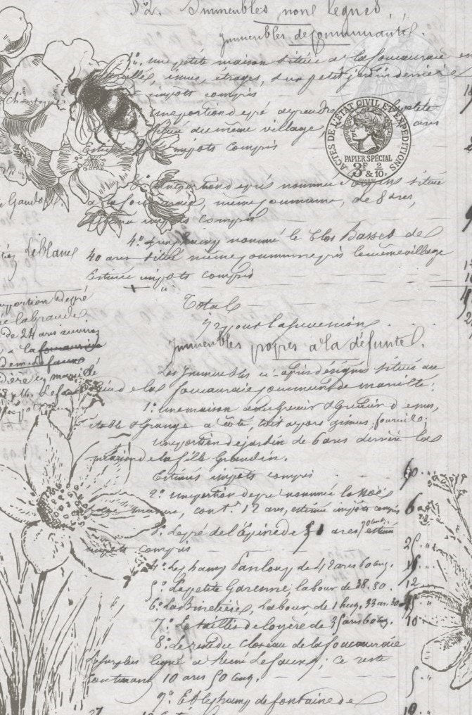 Roycycled Decoupage Paper | Natural History 20" x 30"