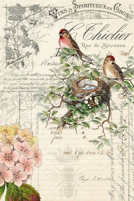 Roycycled Decoupage Paper | Bird Ephemera 20" x 30"