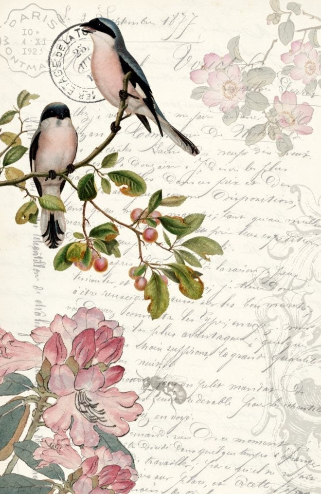 Roycycled Decoupage Paper | Spring Bird 20" x 30"