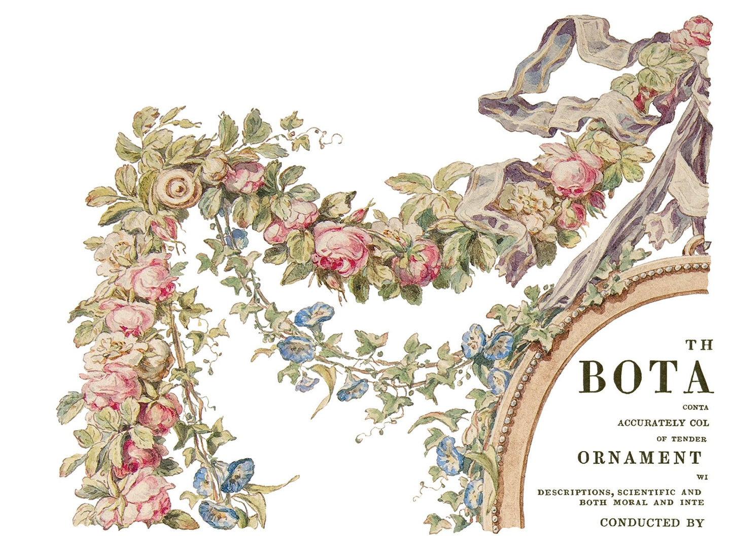 The Botanist IOD Transfer Pad with (4) 12 X 16 Sheets by Iron Orchid Designs Rub-On Furniture Transfer Decal