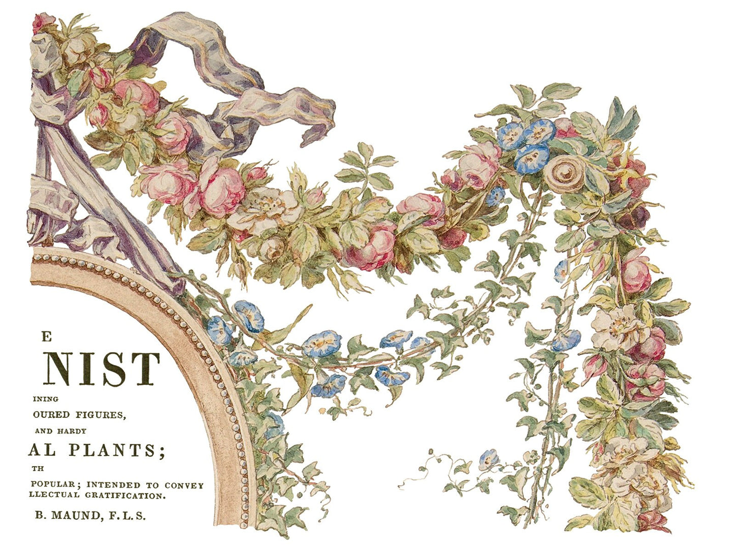 The Botanist IOD Transfer Pad with (4) 12 X 16 Sheets by Iron Orchid Designs Rub-On Furniture Transfer Decal