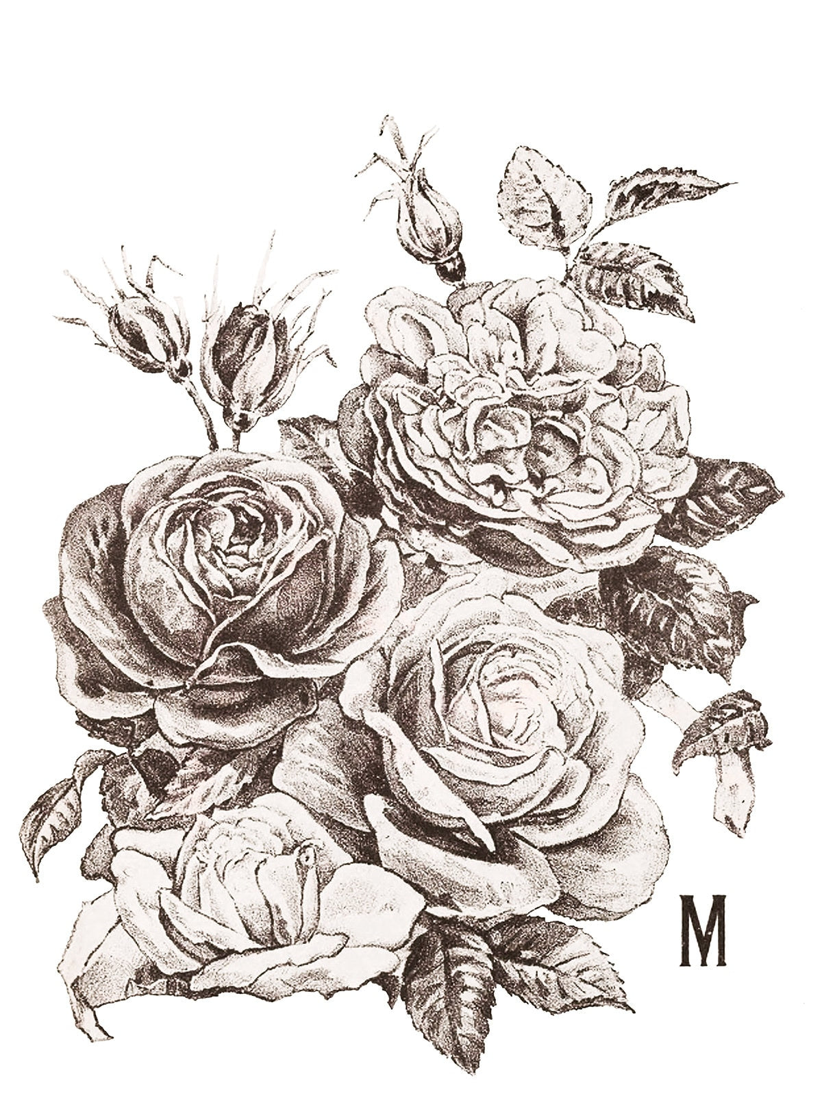 May's Roses IOD Transfer Pad with (4) 12 X 16 Sheets by Iron Orchid Designs Rub-On Furniture Transfer Decal - New Release