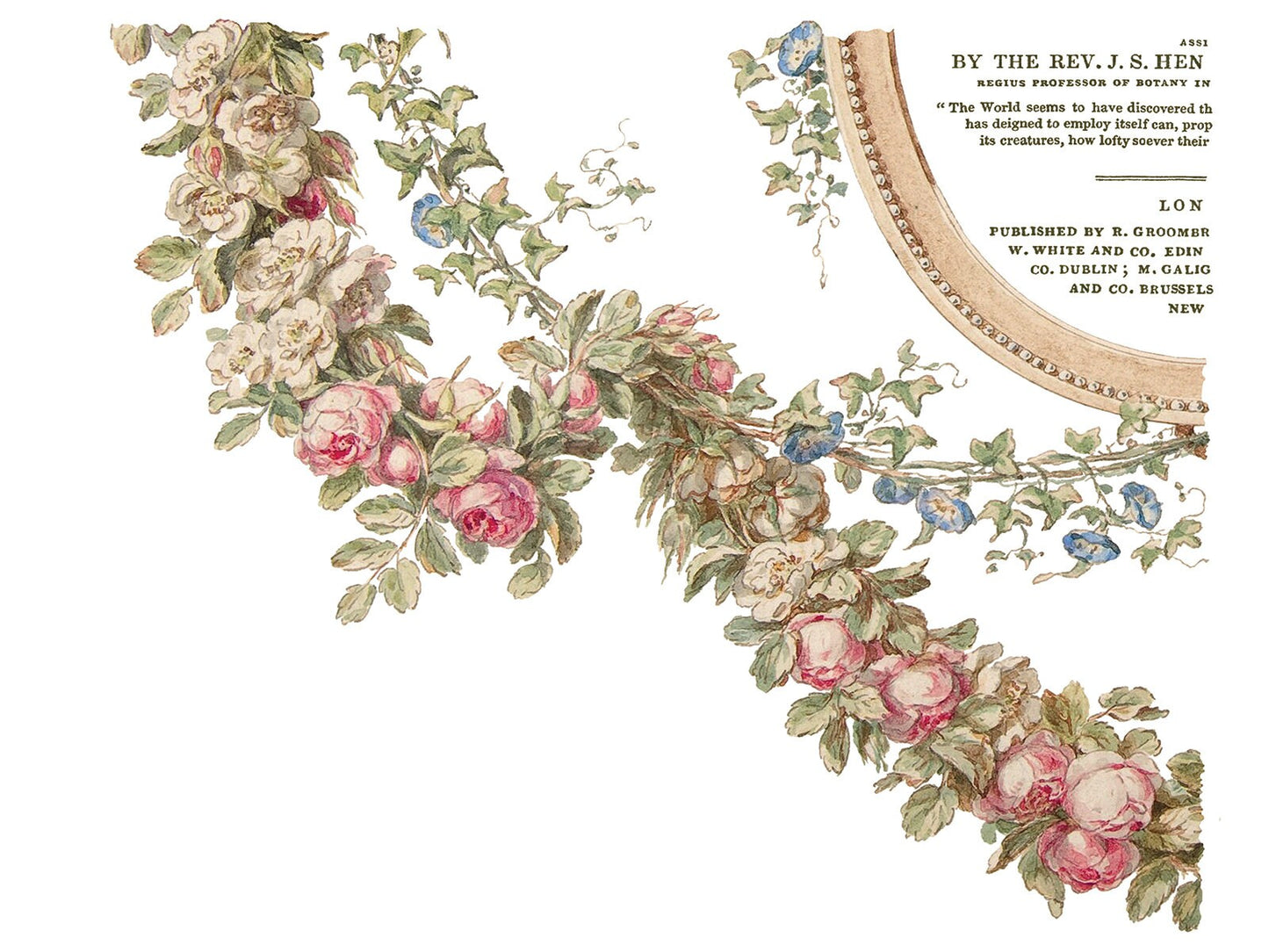 The Botanist IOD Transfer Pad with (4) 12 X 16 Sheets by Iron Orchid Designs Rub-On Furniture Transfer Decal