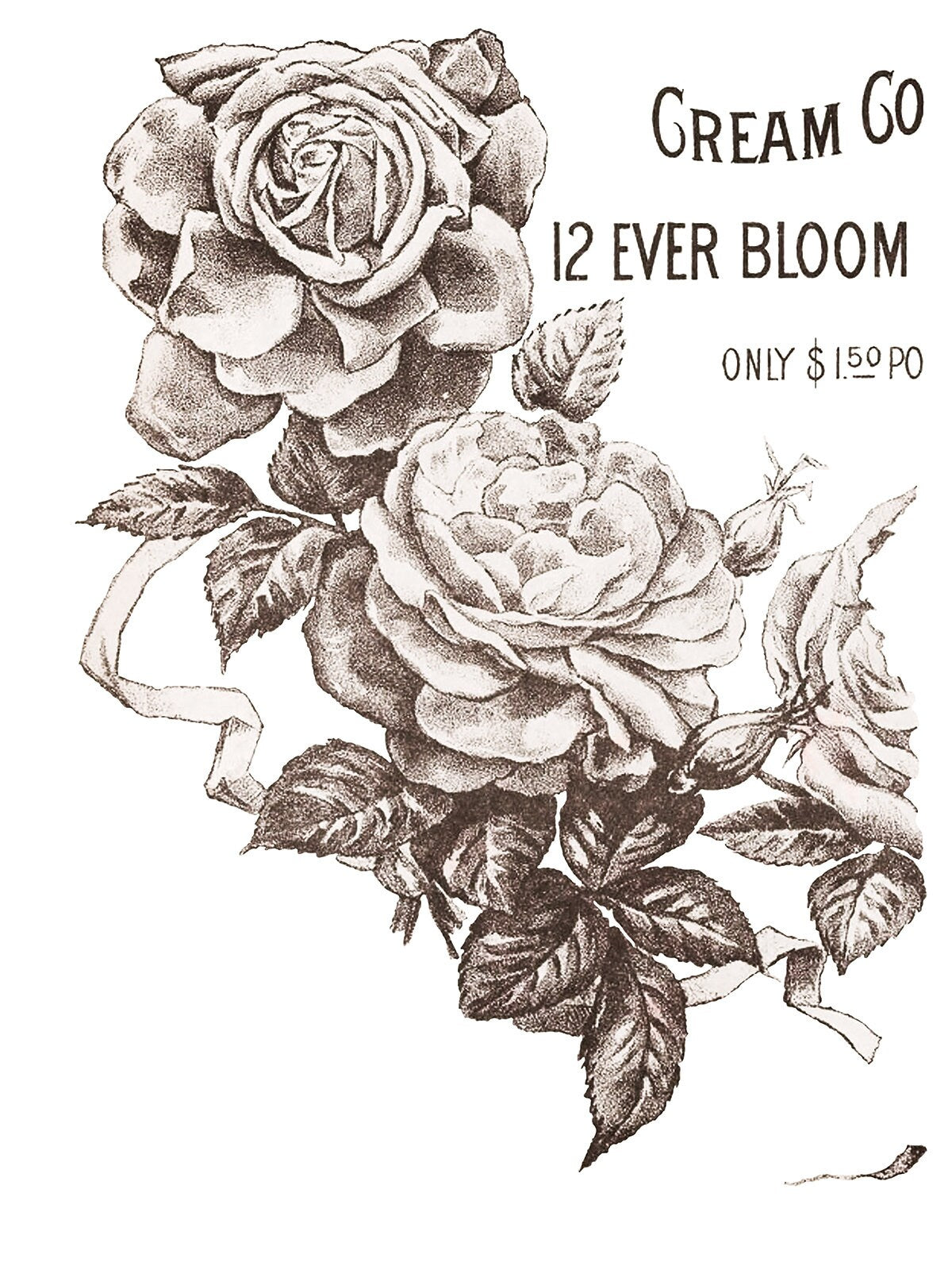 May's Roses IOD Transfer Pad with (4) 12 X 16 Sheets by Iron Orchid Designs Rub-On Furniture Transfer Decal - New Release
