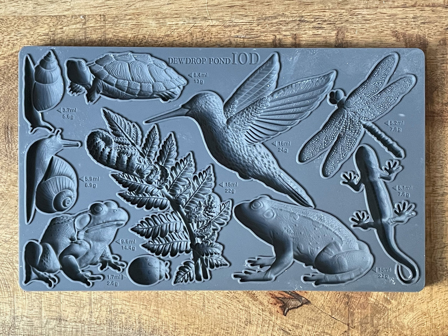 Dewdrop Pond IOD décor mould 6 x 10 - by Iron Orchid Designs