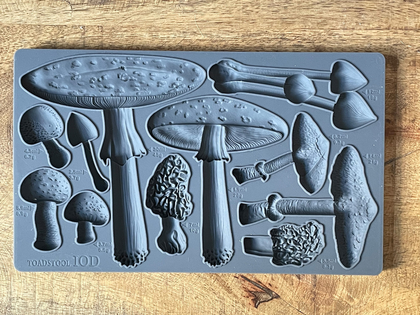 Toadstool IOD décor mould 6 x 10 - by Iron Orchid Designs