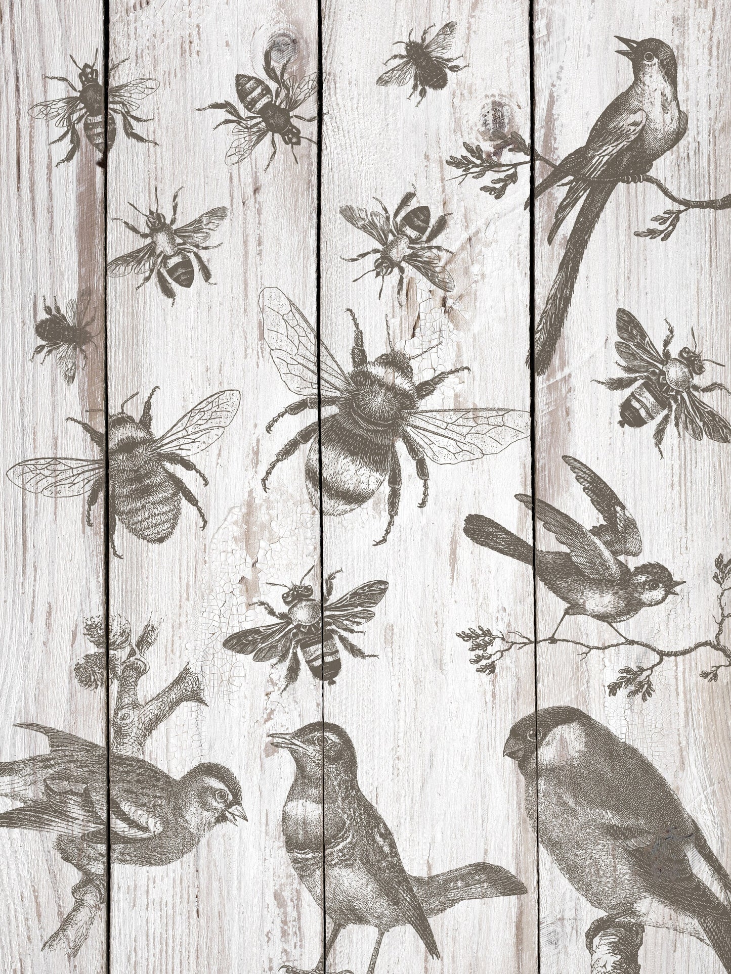 Birds & Bees 12 x 12 IOD stamp - by Iron Orchid Designs