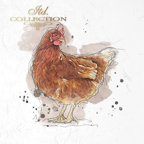 chickens, chickens, cocks ITD Collection decoupage paper | 6 sheets of rice paper 6" x 6" each 6 different designs in one package