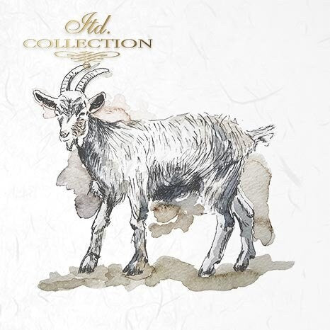 Sheep, goats, rams ITD Collection decoupage paper | 6 sheets of rice paper 6" x 6" each 6 different designs in one package