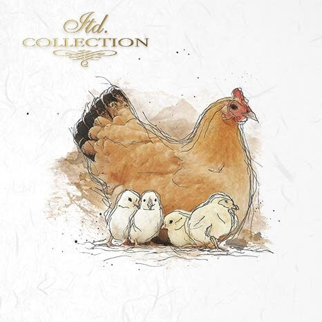chickens, chickens, cocks ITD Collection decoupage paper | 6 sheets of rice paper 6" x 6" each 6 different designs in one package