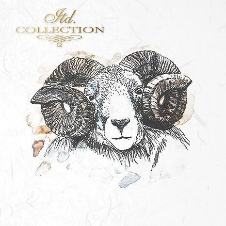 Sheep, goats, rams ITD Collection decoupage paper | 6 sheets of rice paper 6" x 6" each 6 different designs in one package