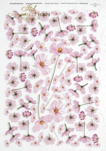 flowers cosmos ITD Collection decoupage paper | Size Paper A4 - 210x297 mm | 8.27x11.7 in | paper weight 30-35 gsm R0063