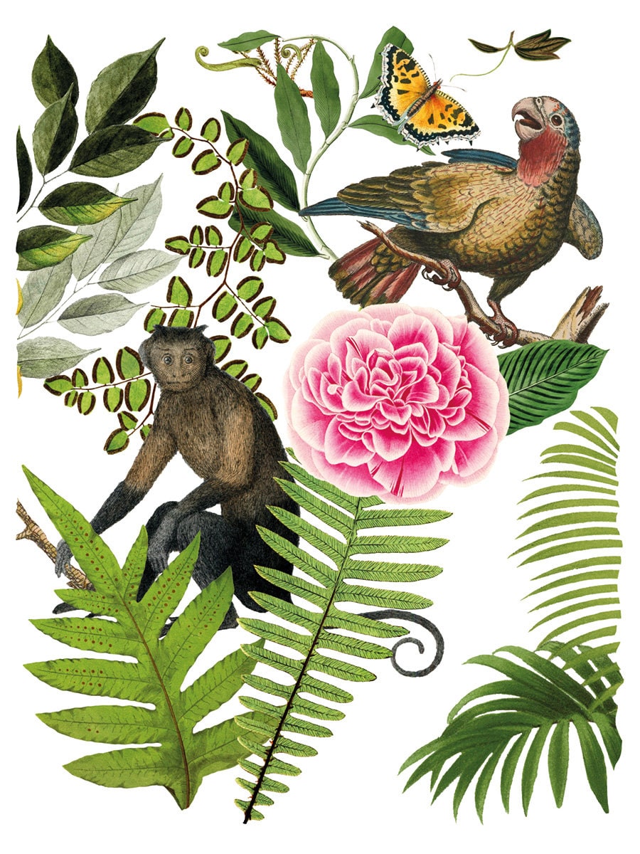 Bungalow IOD Transfer pad with (8) 12 X 16 Sheets by Iron Orchid Designs Rub-On Furniture Transfer Decal
