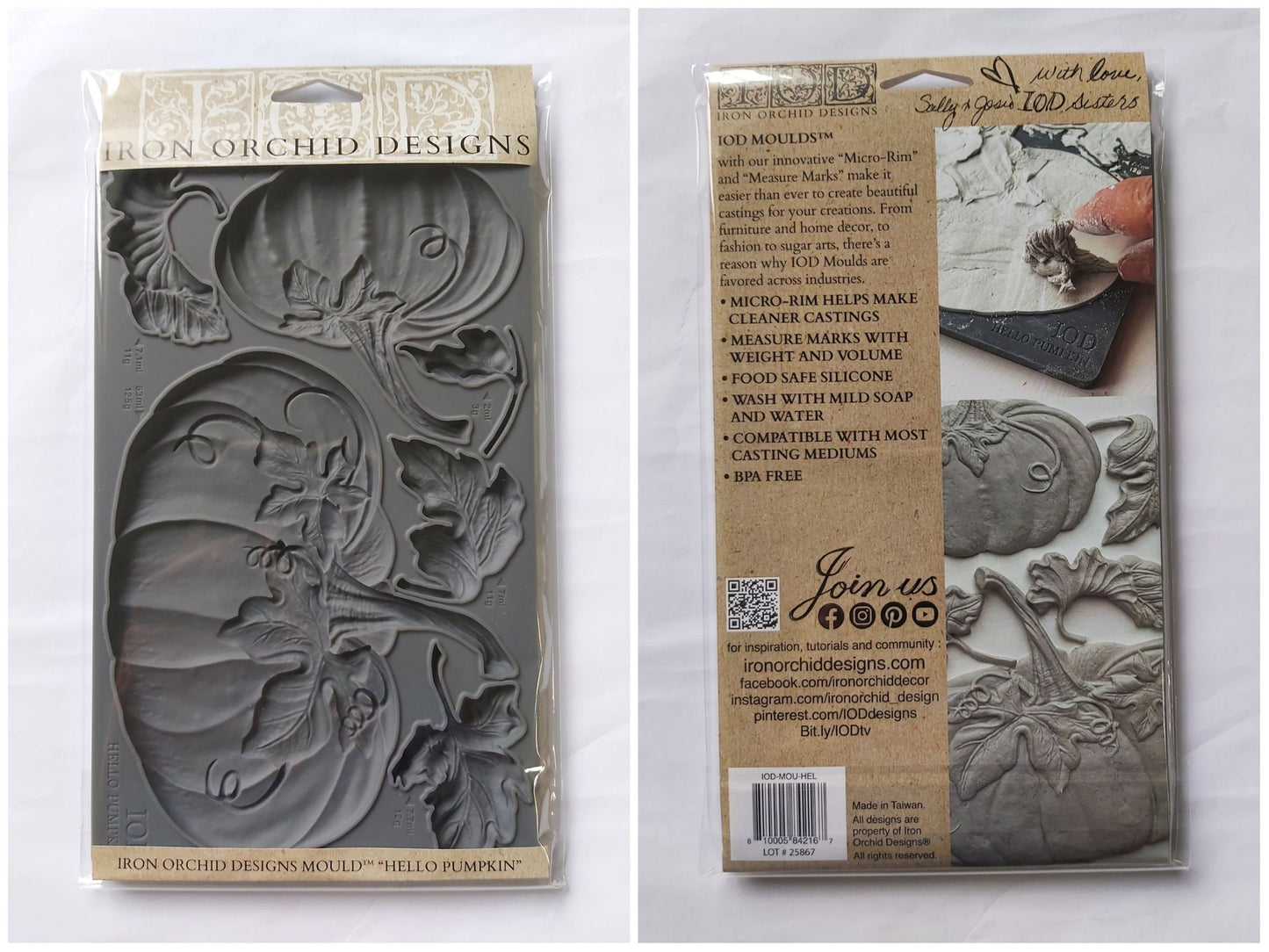 Hello Pumpkin IOD décor mould 6 x 10 - by Iron Orchid Designs - Limited Release