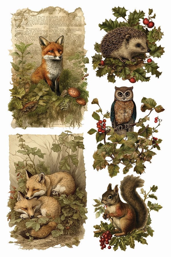 Holly Glen IOD Transfer Pad with (8) 8 X 12 Sheets by Iron Orchid Designs Rub-On Furniture Transfer Decal Limited Christmas Release