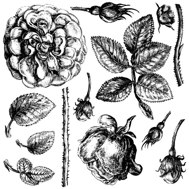 Lady shalott 12 X 12 IOD stamp 2 sheets - by Iron Orchid Designs
