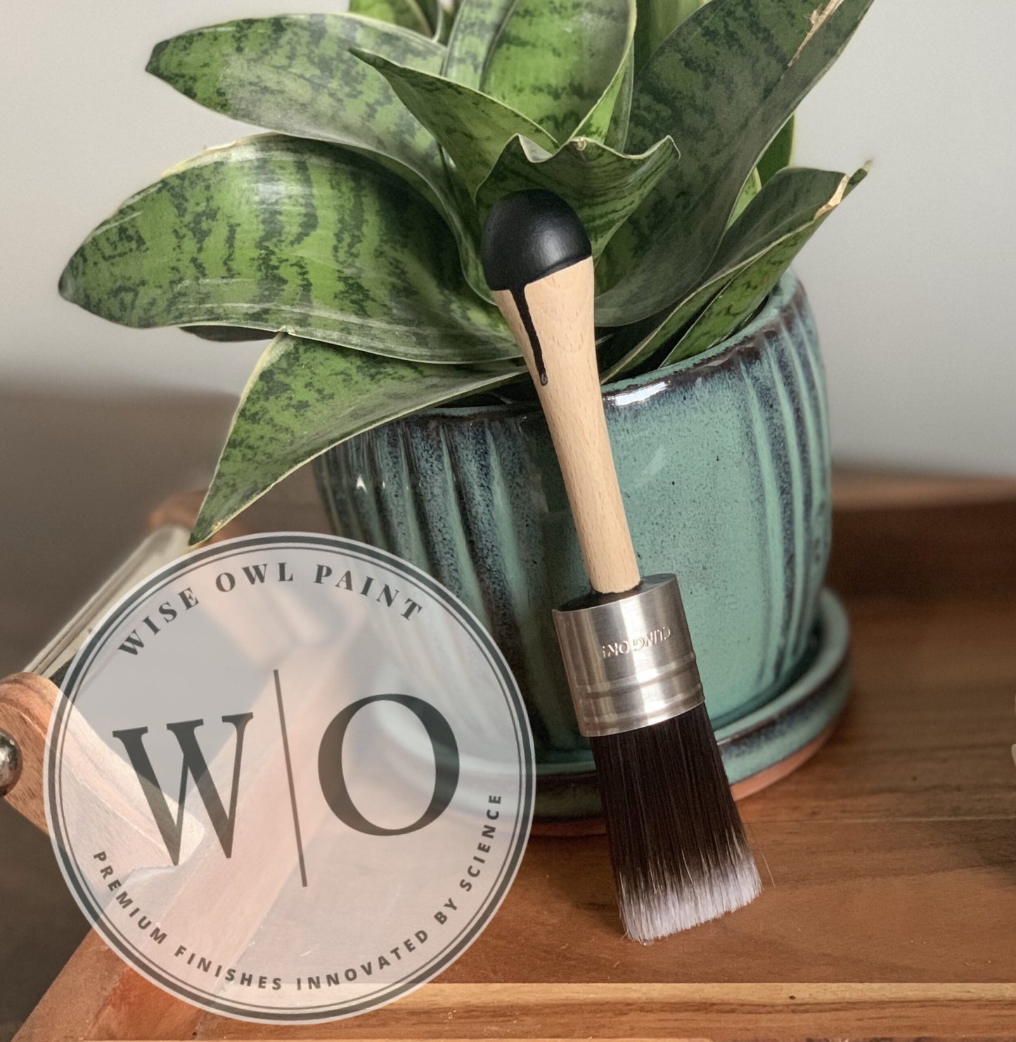 Cling On Paint Brushes - Short Handle (S50)