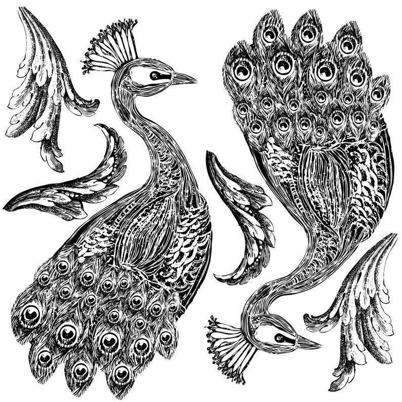 Pavo 12 X 12 IOD stamp 2 sheets - by Iron Orchid Designs