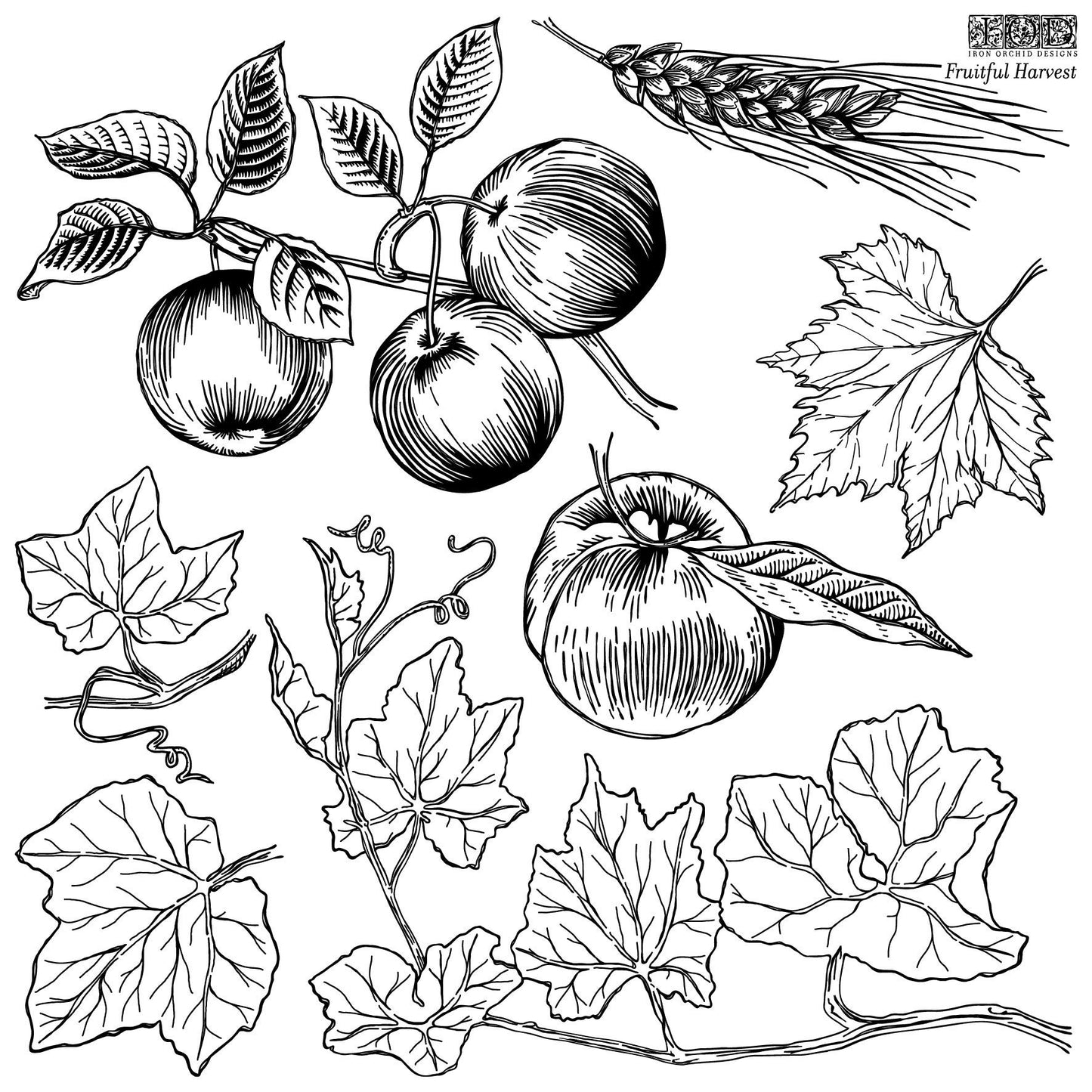 Fruitful Harvest 12 X 12 IOD stamp 2 sheets - by Iron Orchid Designs